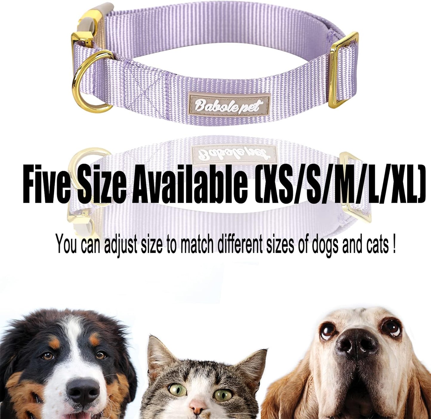 Adjustable Lavender Nylon Dog Collar with Safety Metal Buckle for Small, Medium, and Large Dogs