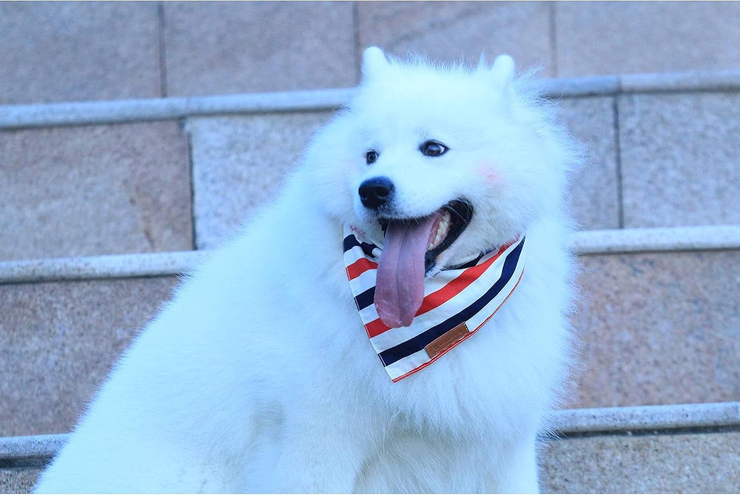Reversible American Flag Dog Bandanas - 2 Pack, Premium Durable Fabric, Patriotic Scarves for Large and Extra Large Dogs