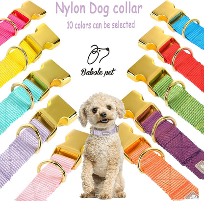 Adjustable Lavender Nylon Dog Collar with Safety Metal Buckle for Small, Medium, and Large Dogs