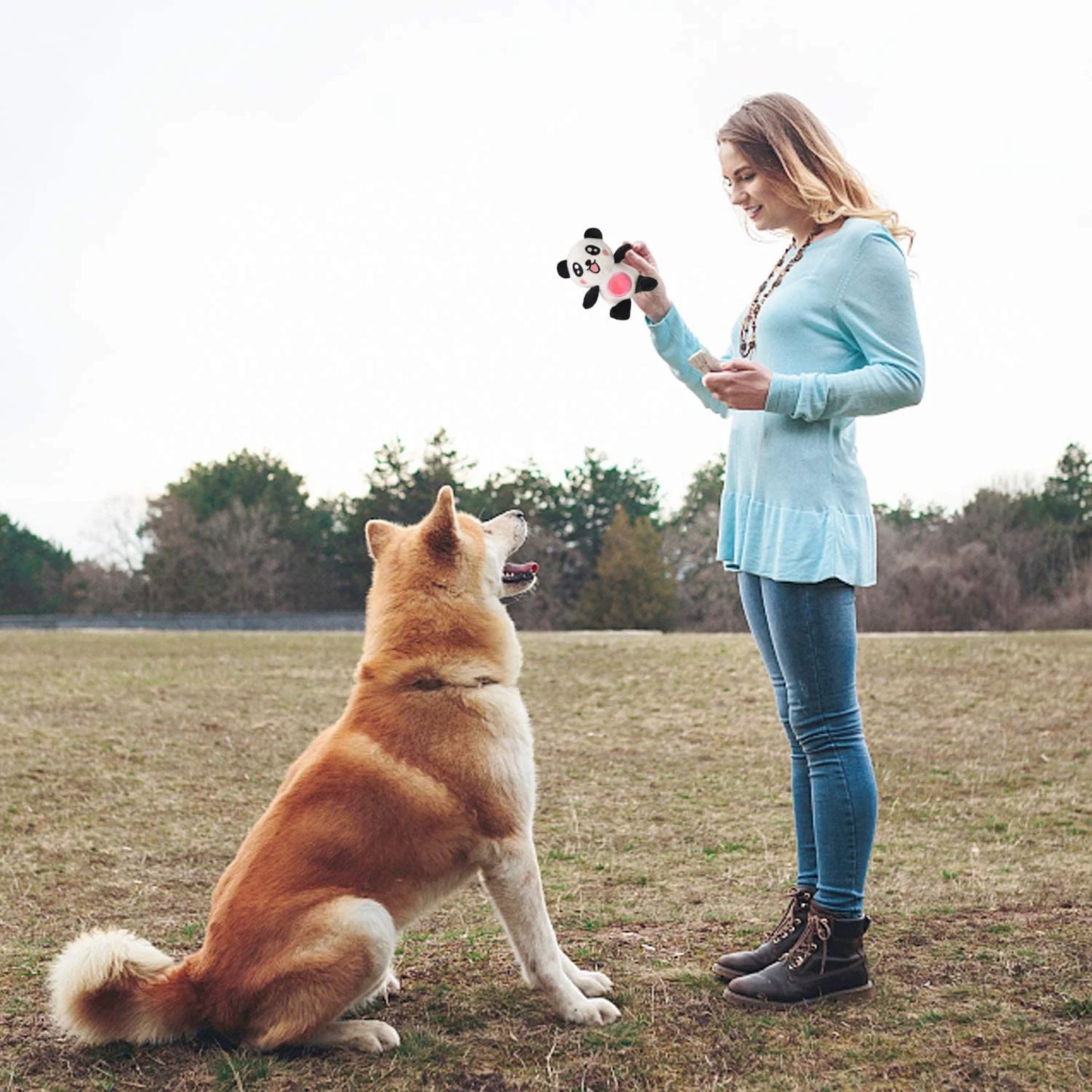 Plush Squeaky Dog Toy Set for Small to Medium Dogs - 12 Safe Chew Toys for Puppies Teething (6 Unique Designs)