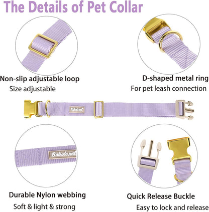 Adjustable Lavender Nylon Dog Collar with Safety Metal Buckle for Small, Medium, and Large Dogs