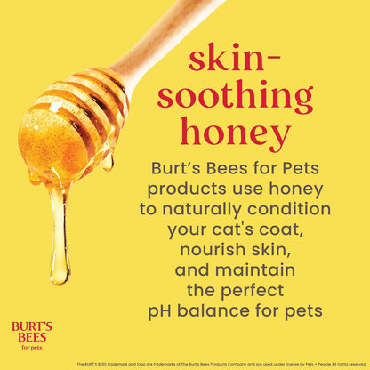 Tearless Buttermilk and Honey Kitten Shampoo, 99% Natural Origin, Gentle Formula for Sensitive and Itchy Skin, pH Balanced and Fragrance-Free, 10 Fl Oz