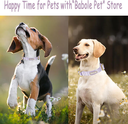 Adjustable Lavender Nylon Dog Collar with Safety Metal Buckle for Small, Medium, and Large Dogs