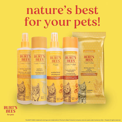 Tearless Buttermilk and Honey Kitten Shampoo, 99% Natural Origin, Gentle Formula for Sensitive and Itchy Skin, pH Balanced and Fragrance-Free, 10 Fl Oz