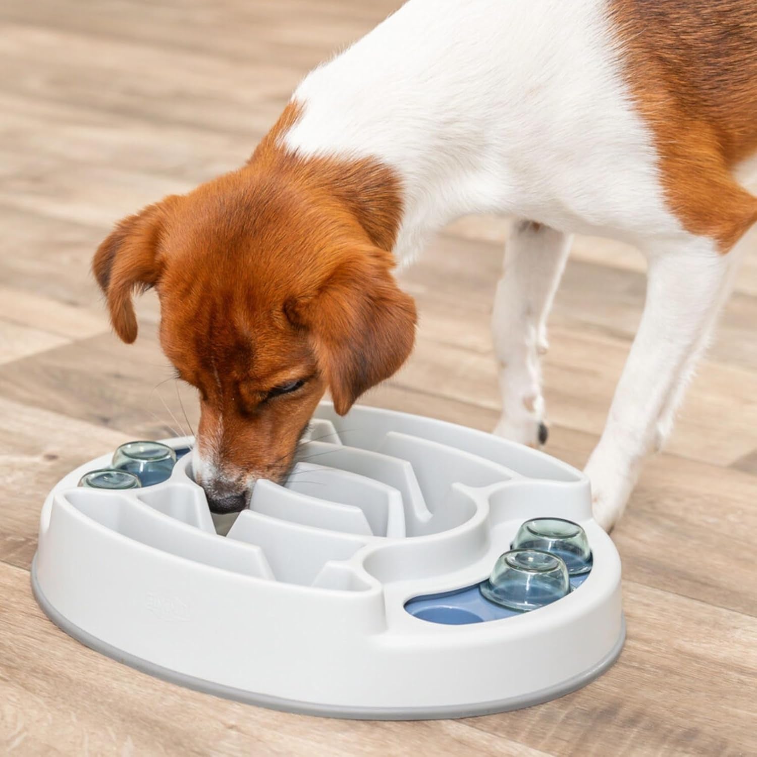 Interactive Slide & Feed Dog Activity Toy, Level 1 Food Puzzle for Cognitive Development and Enrichment