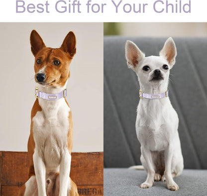Adjustable Lavender Nylon Dog Collar with Safety Metal Buckle for Small, Medium, and Large Dogs