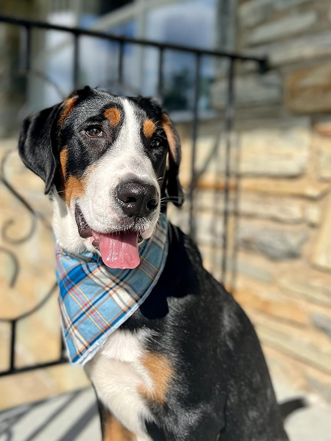 Blue Plaid Dog Bandana and Cat Kerchief - Triangle Bibs Scarf for Small, Medium, and Large Pets