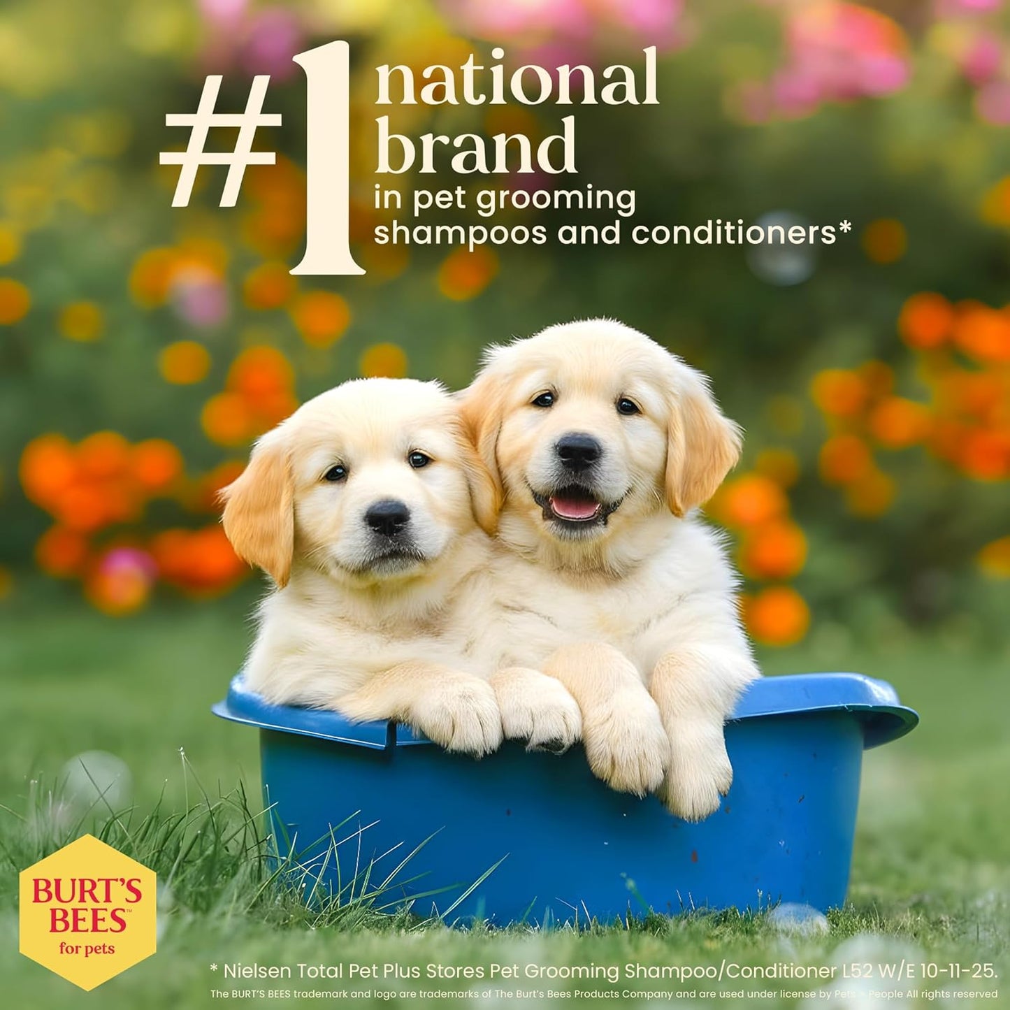 Tearless Puppy Shampoo with Buttermilk - 95% Natural Ingredients, Gentle Formula for Puppies, 32 Oz