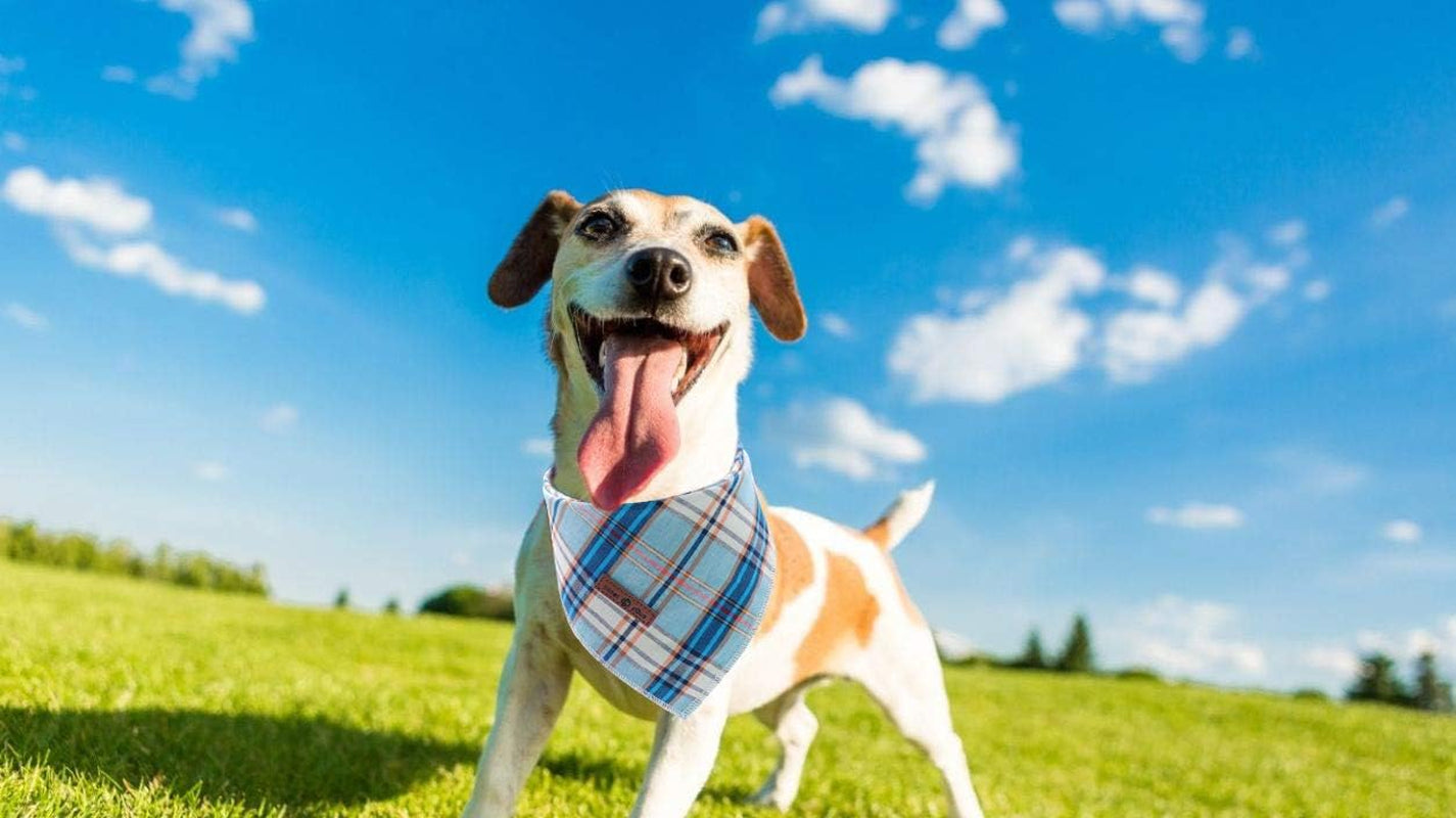 Blue Plaid Dog Bandana and Cat Kerchief - Triangle Bibs Scarf for Small, Medium, and Large Pets