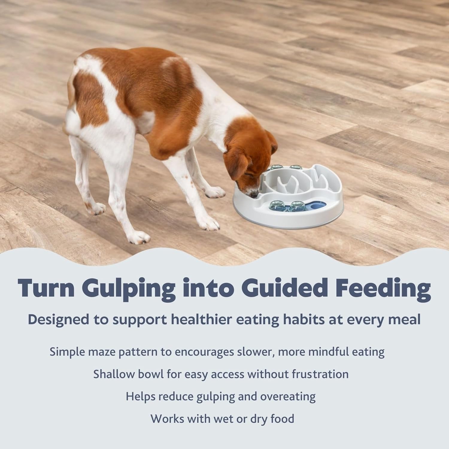 Interactive Slide & Feed Dog Activity Toy, Level 1 Food Puzzle for Cognitive Development and Enrichment
