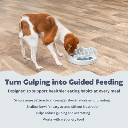 Interactive Slide & Feed Dog Activity Toy, Level 1 Food Puzzle for Cognitive Development and Enrichment