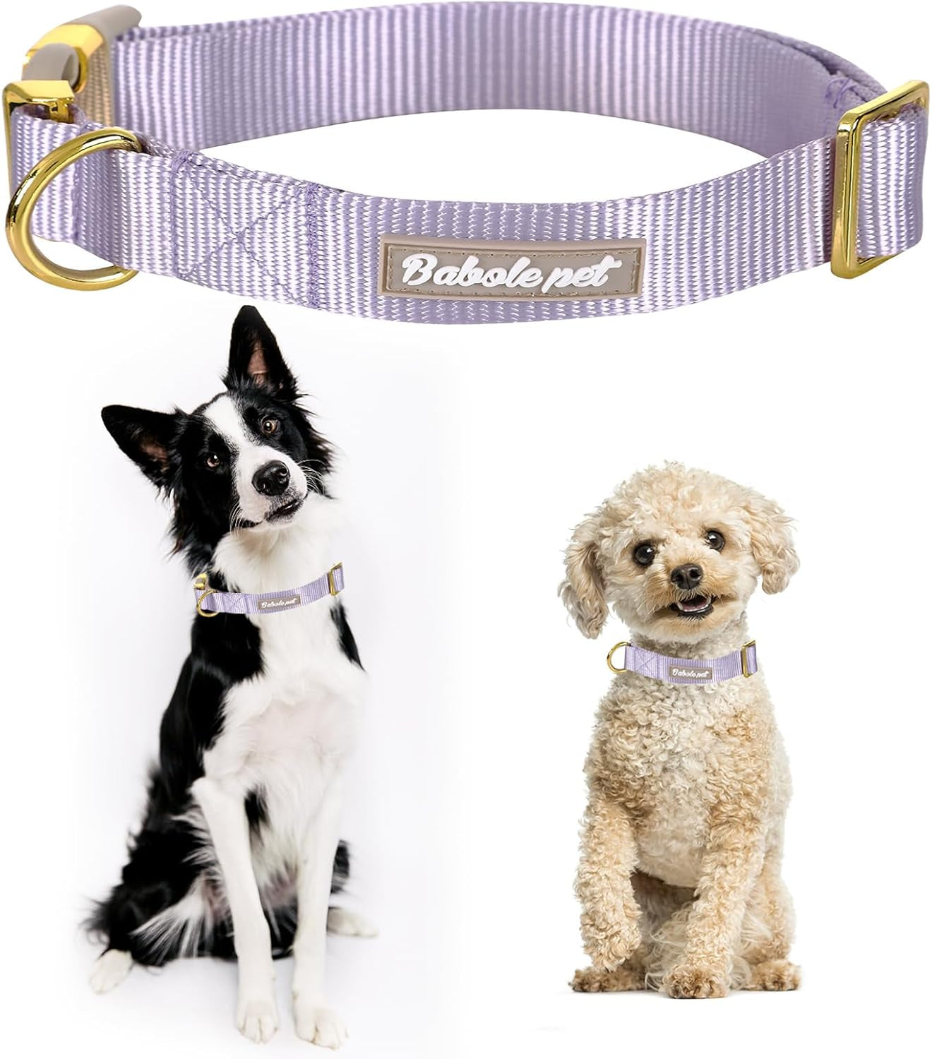 Adjustable Lavender Nylon Dog Collar with Safety Metal Buckle for Small, Medium, and Large Dogs