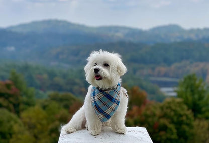 Blue Plaid Dog Bandana and Cat Kerchief - Triangle Bibs Scarf for Small, Medium, and Large Pets