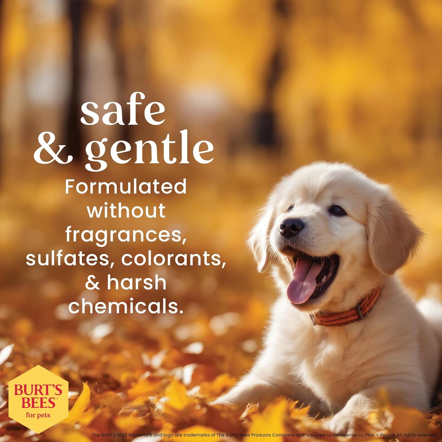 Tearless Puppy Shampoo with Buttermilk - 95% Natural Ingredients, Gentle Formula for Puppies, 32 Oz