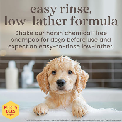 Tearless Puppy Shampoo with Buttermilk - 95% Natural Ingredients, Gentle Formula for Puppies, 32 Oz